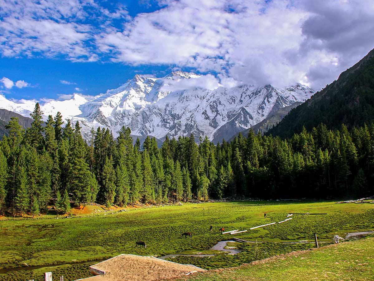 Views of Nanga Parbat on Fairy Meadows and Nanga Parbat Base Camp Tour in Pakistan