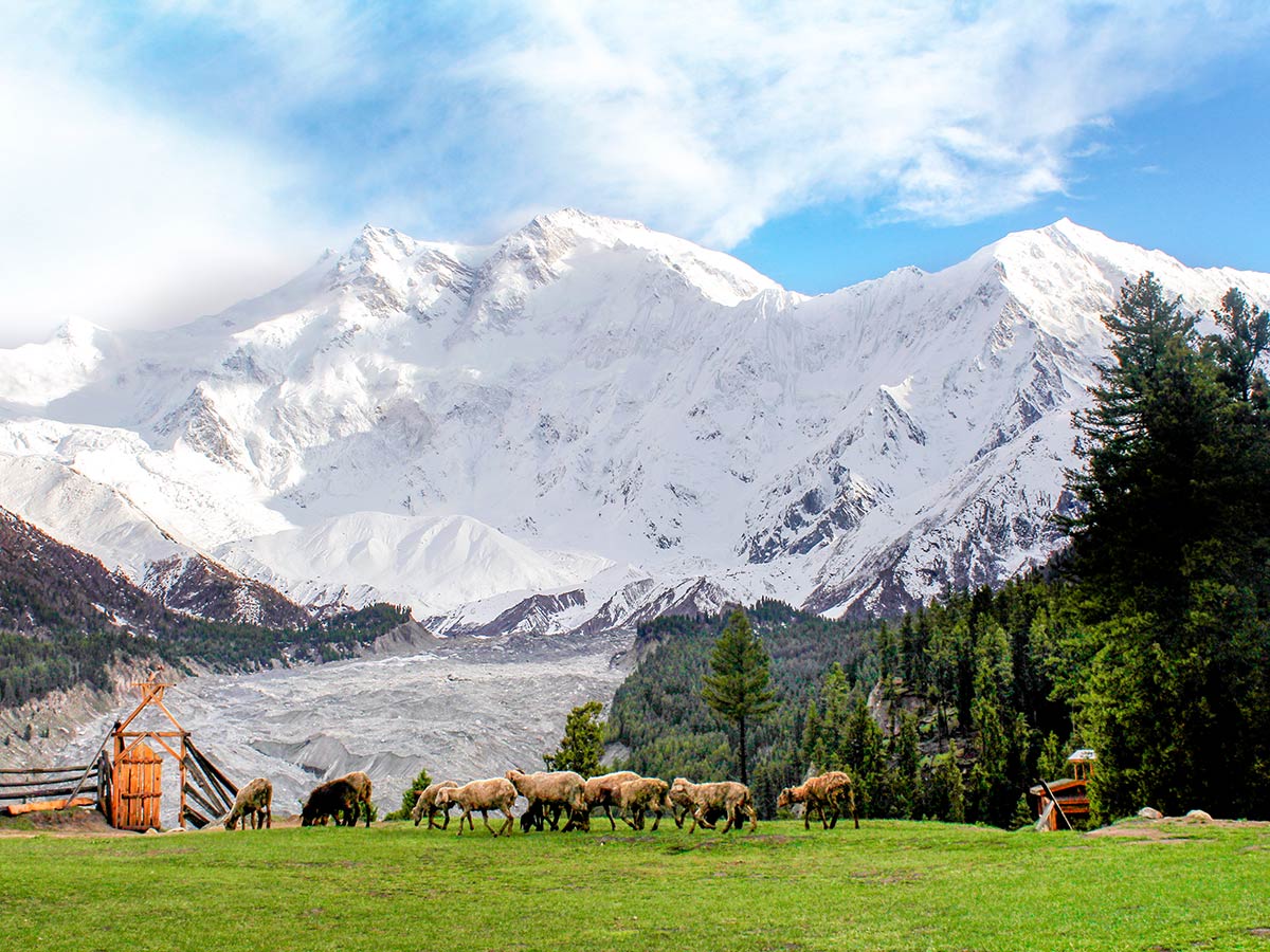 Glacier below Nanga Parbat on Fairy Meadows and Nanga Parbat Base Camp Tour in Pakistan