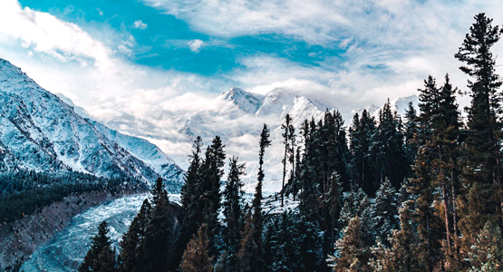 Snowy peaks above the forest on guided trekking tour to Fairy Meadows in Pakistan