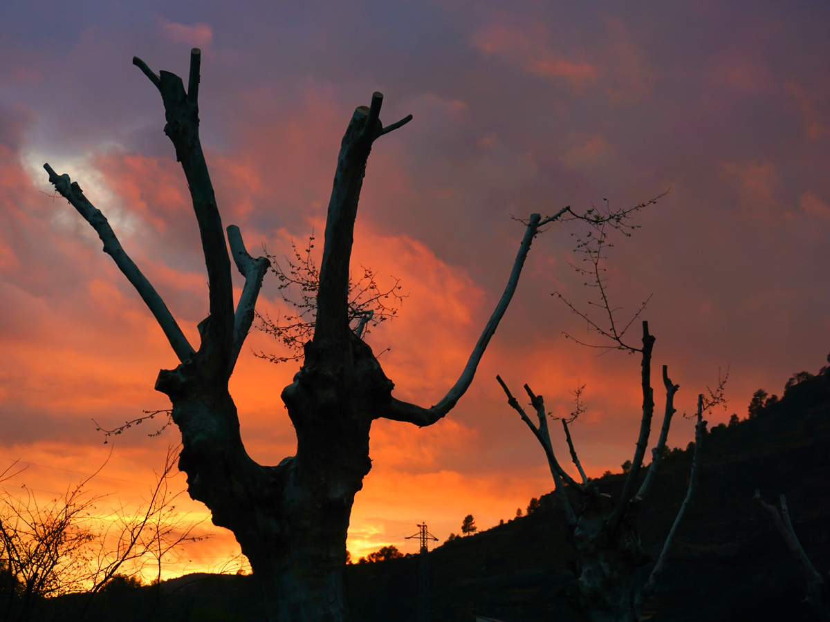 Beautiful sunset in Margalef on rock climbing tour in Spain