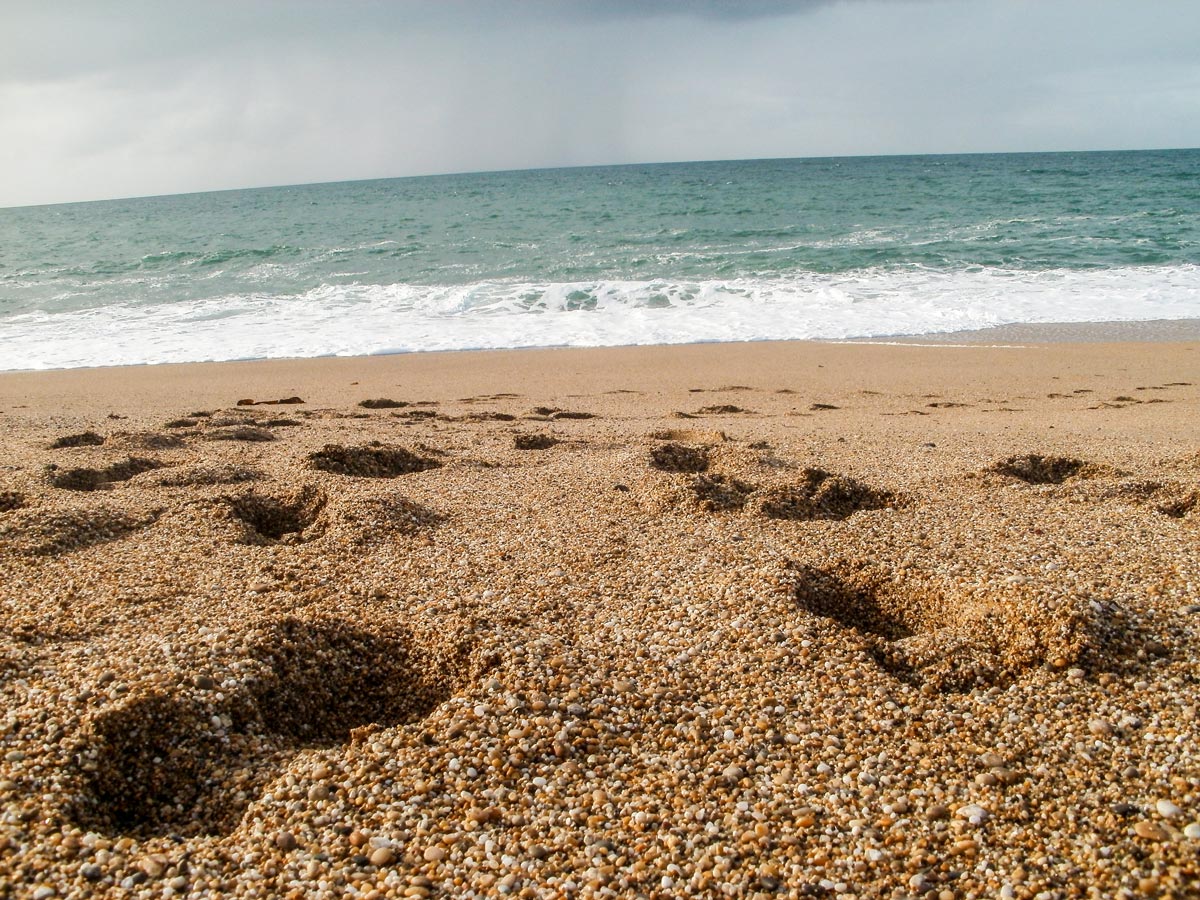 Cornwall Loe Bar Footsteps in Sand