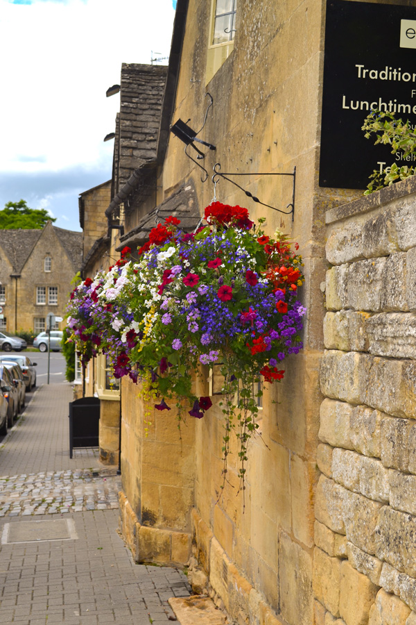 Chipping Campden Flowers