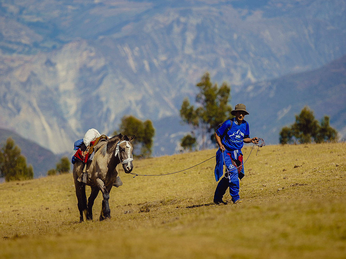 Porter with the horse on Salkantay Trek to Machu Picchu in Peru