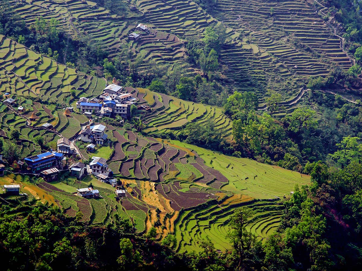 Farmlands on Annapurna Base Camp Guided Trek in Nepal