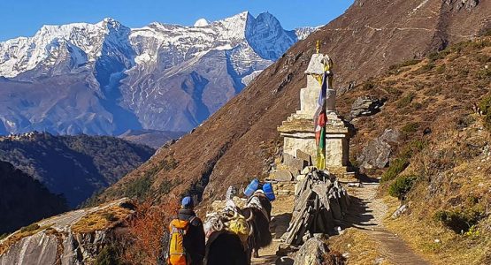 Annapurna and Everest Luxury Lodge Trek