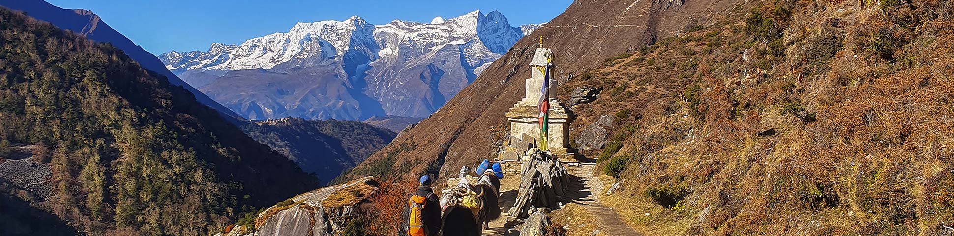 Annapurna and Everest Luxury Lodge Trek