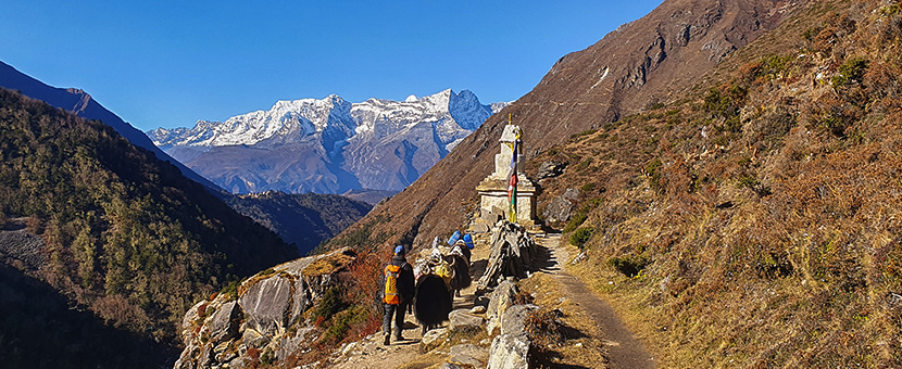 Annapurna and Everest Luxury Lodge Trek