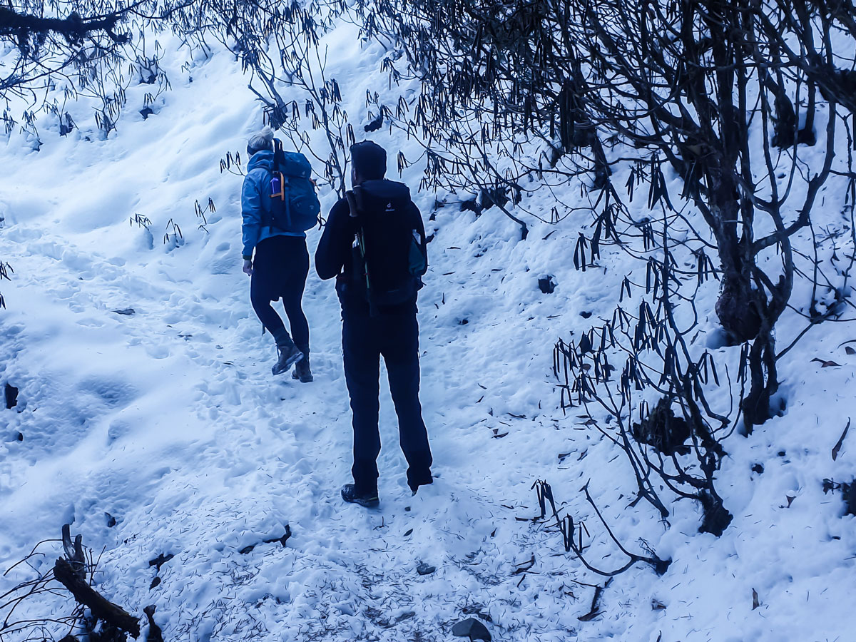 Two hikers on a snowy path of guided Langtang Trek in Nepal
