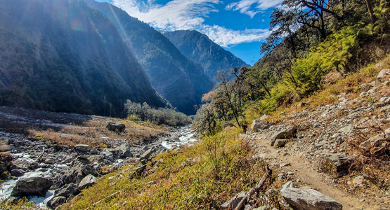 Langtang Trek