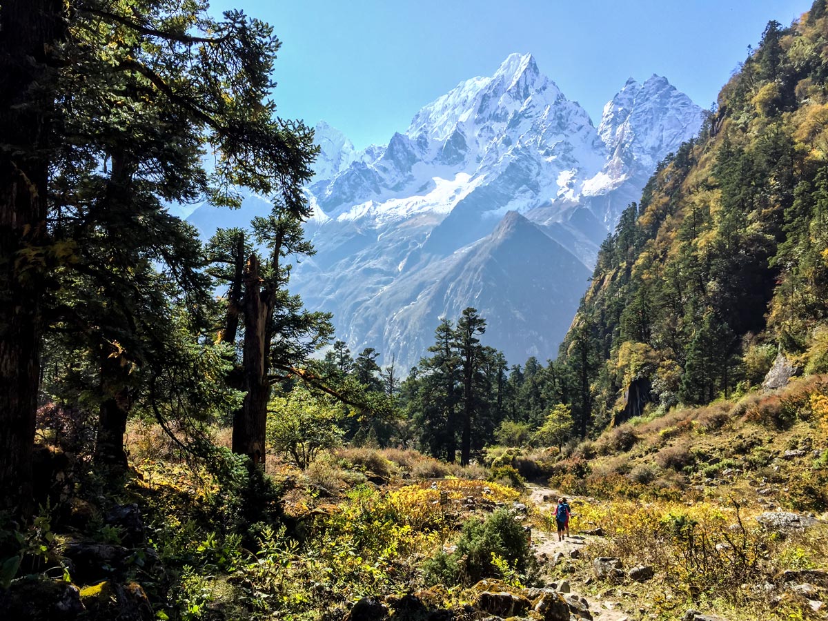 Manaslu Circuit trek in Nepal is one of the best multi day hikes in Himalayas