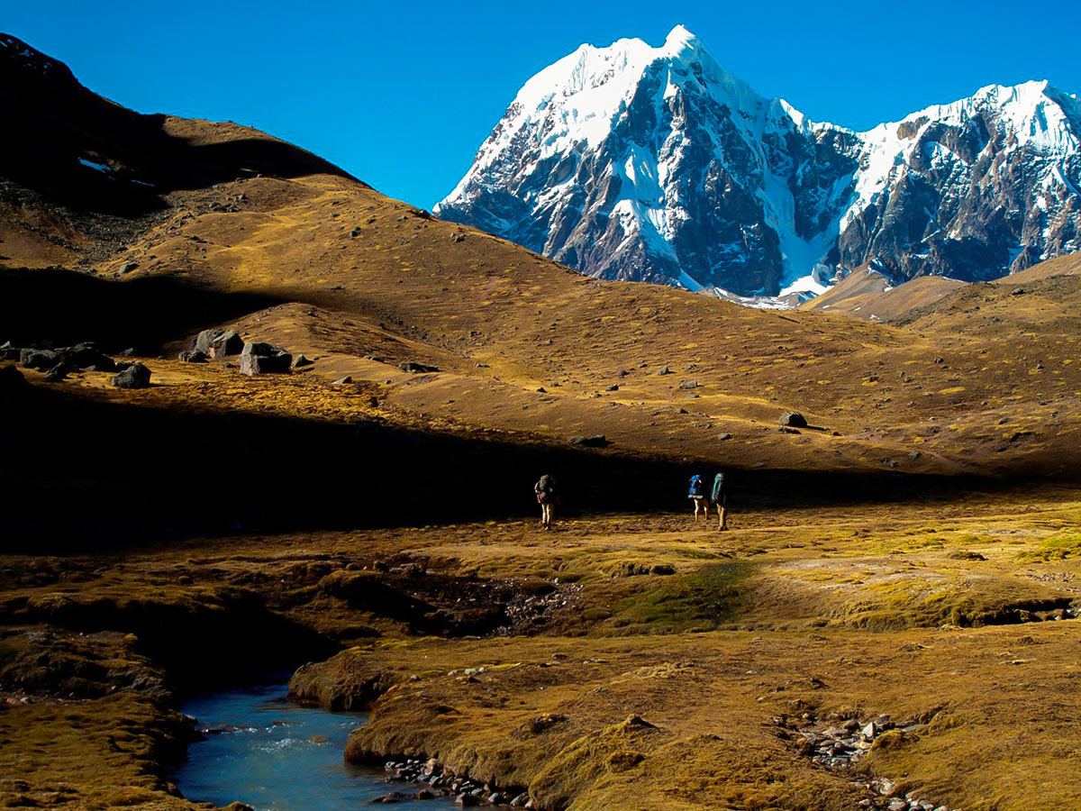 Three people with large backpacks walking on a grassy hill with a snow-covered mountain peak beyond them