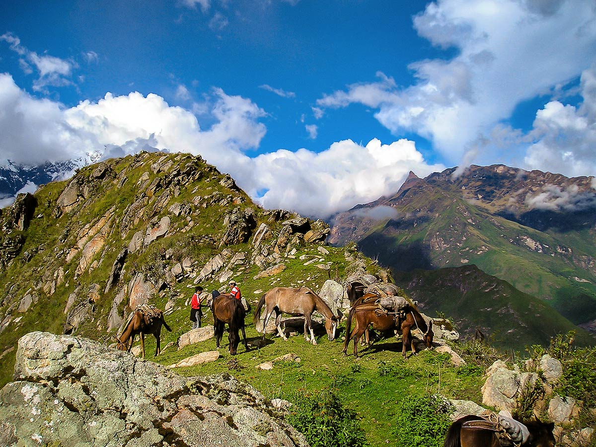 Horses resting on Choquequirao Trek in Peru near Cusco