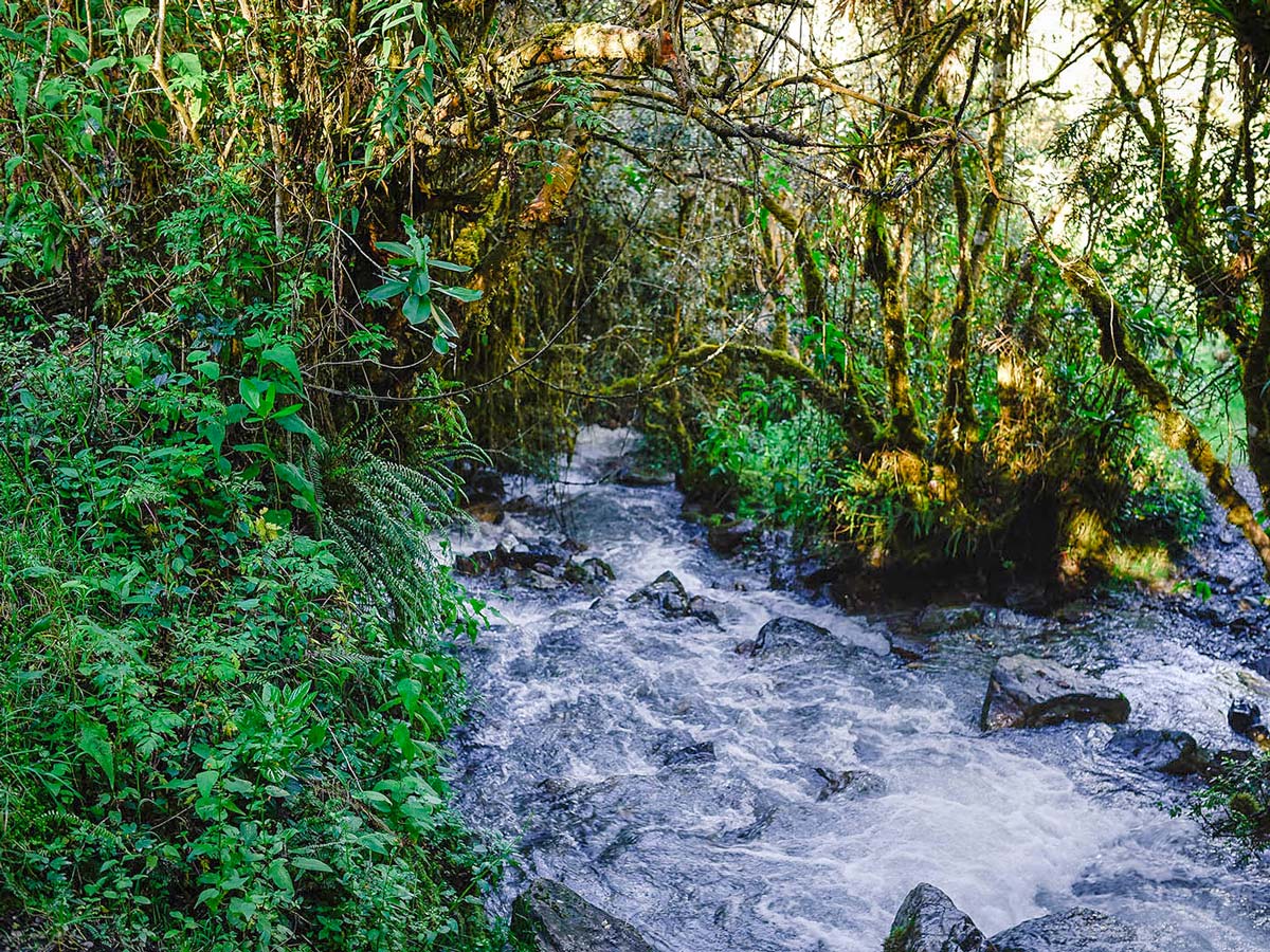 Creek on Inca Trail to Machu Picchu near Cusco Peru