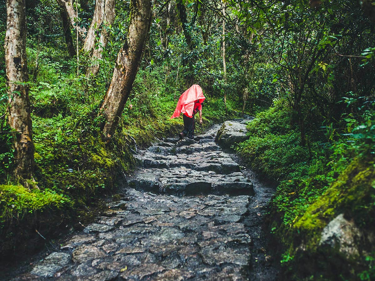 Stairs going up on Inca Trail to Machu Picchu near Cusco Peru