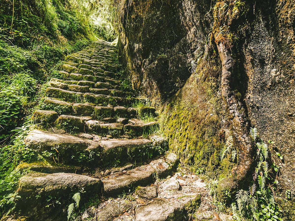 Mossy stairs on Inca Trail to Machu Picchu near Cusco Peru