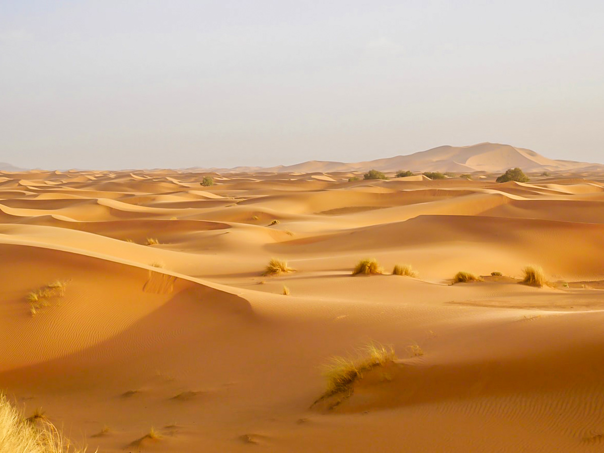 erg chigaga desert tour