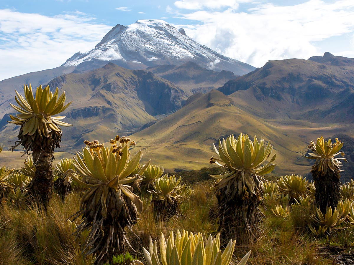 tour de los nevados