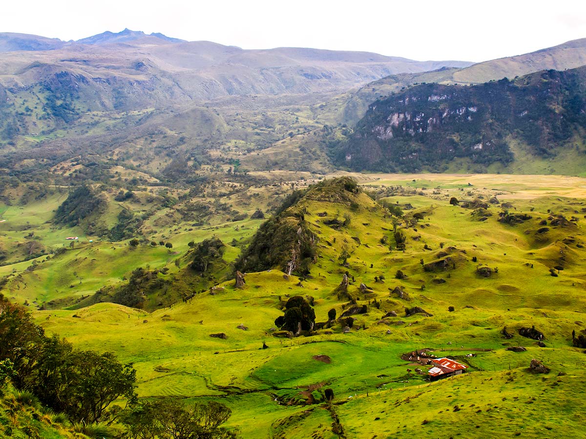 Guided Hiking Tour in Los Nevados National Park in Colombia