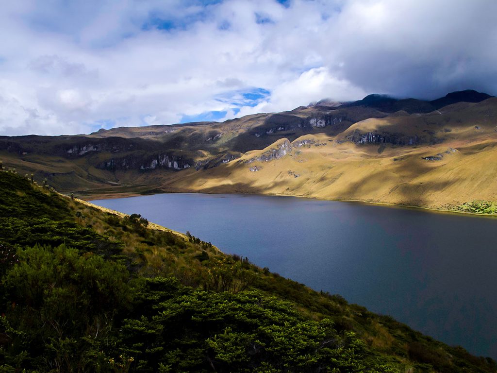 guided-hiking-tour-in-los-nevados-national-park-in-colombia