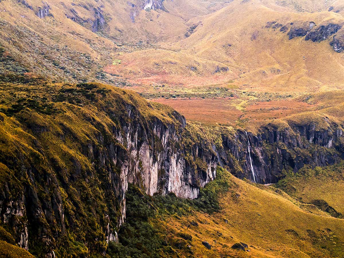 Guided Hiking Tour in Los Nevados National Park in Colombia