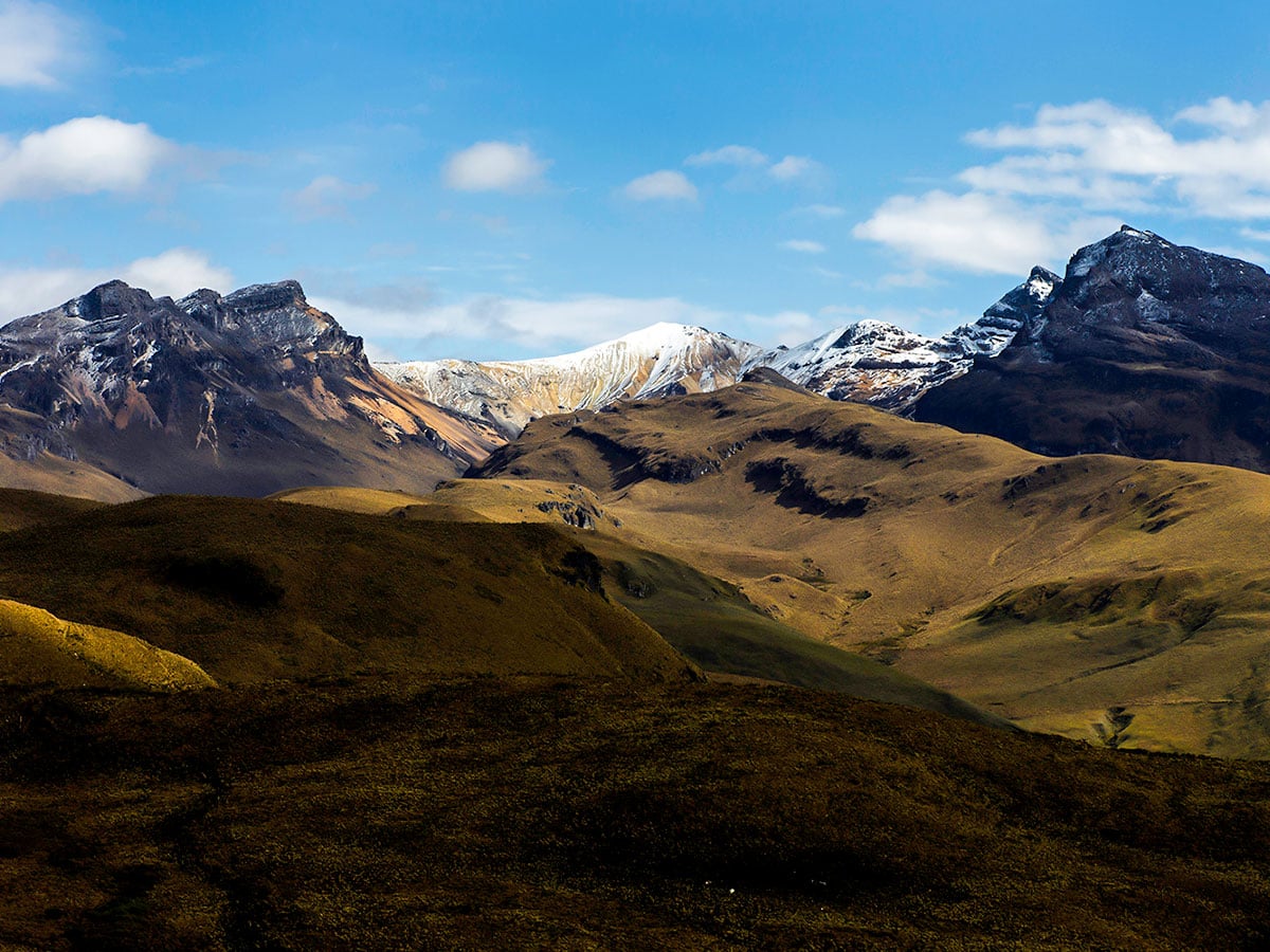 Guided Hiking Tour in Los Nevados National Park in Colombia