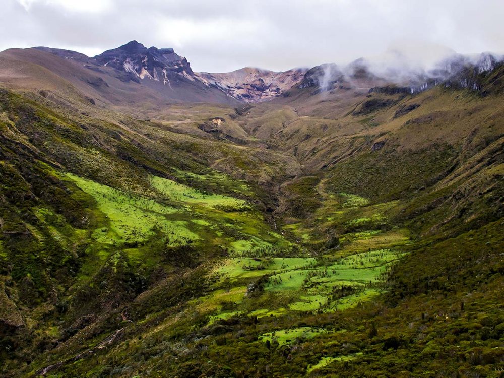 Guided Hiking Tour in Los Nevados National Park in Colombia Guided Hiking Tour in Los Nevados National Park in Colombia