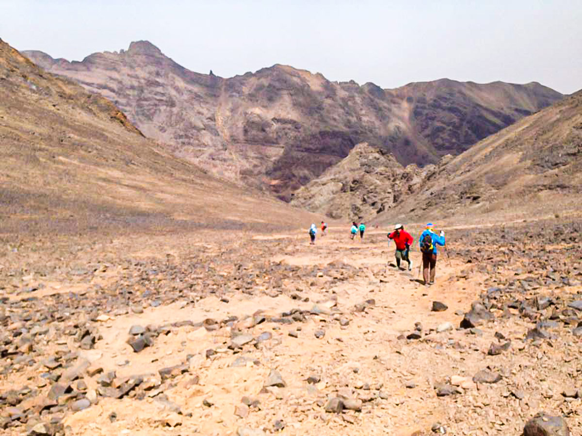 Expansive views of the desert on Atlas and Sahara Trek in Morocco