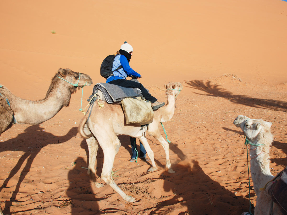 Atlas and Sahara Trek in Morocco involves fun camel riding in Sahara Desert