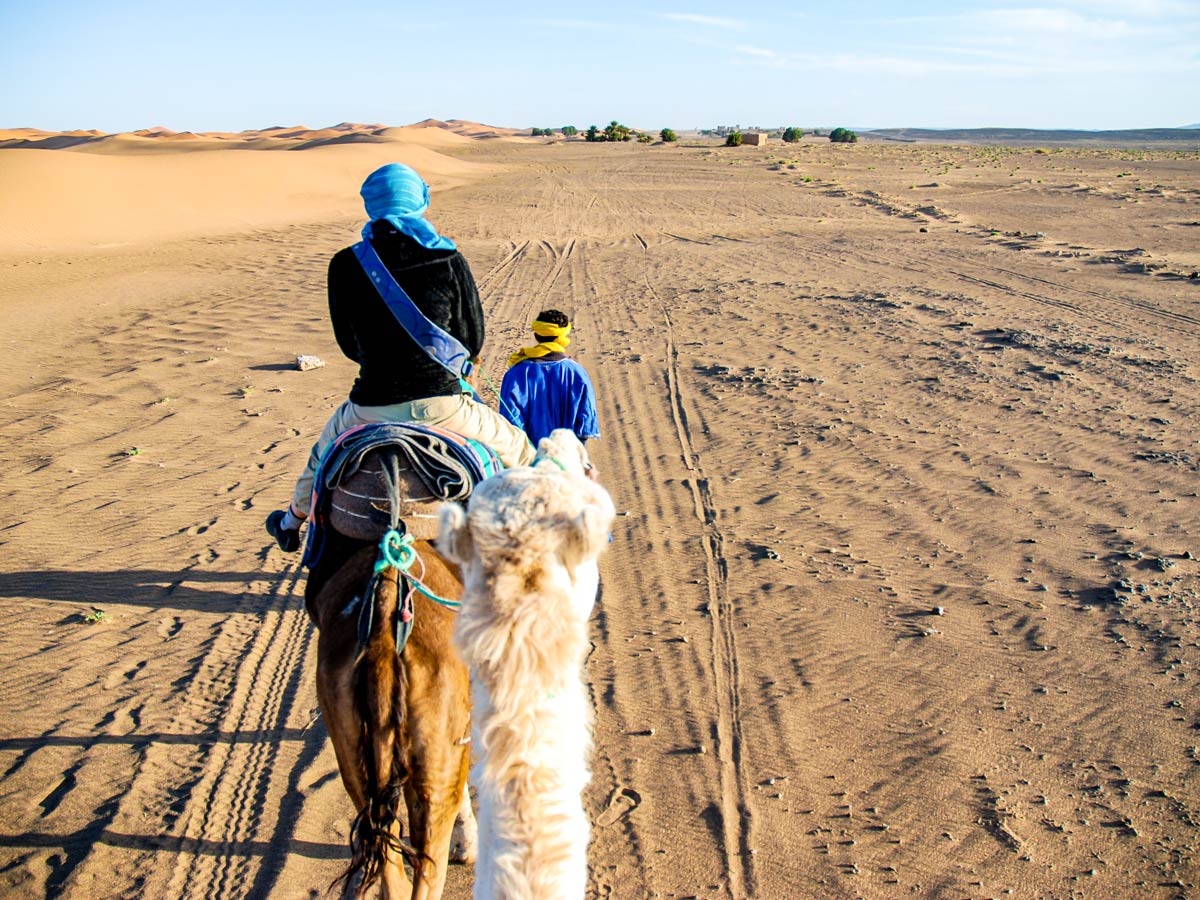 Atlas and Sahara Trek in Morocco involves several different activities including camel riding