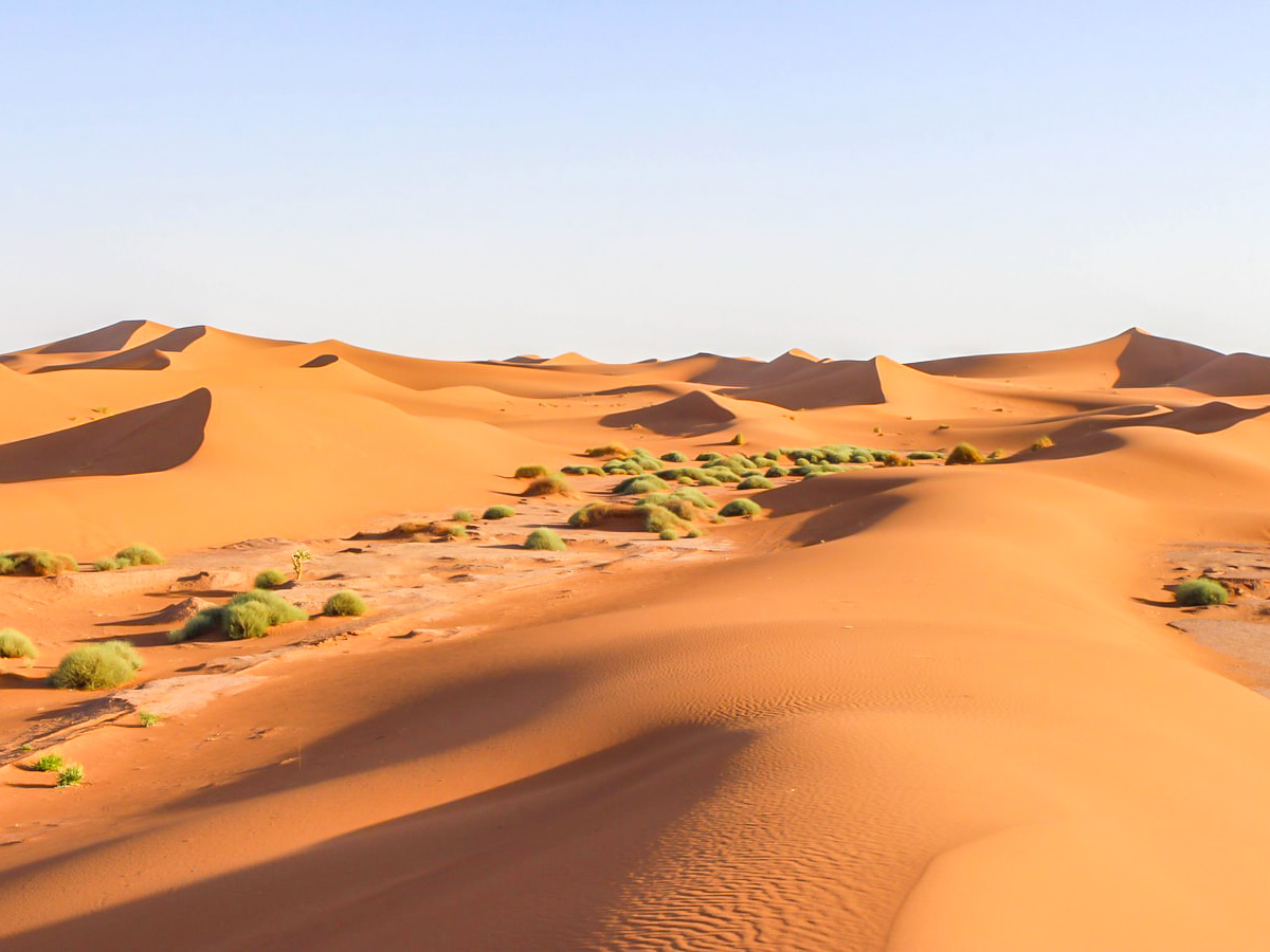 Sahara Desert on Erg Chigaga Tour in Morocco