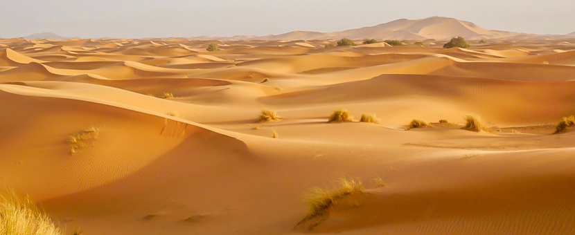 Erg Chigaga Sahara Camel Trek