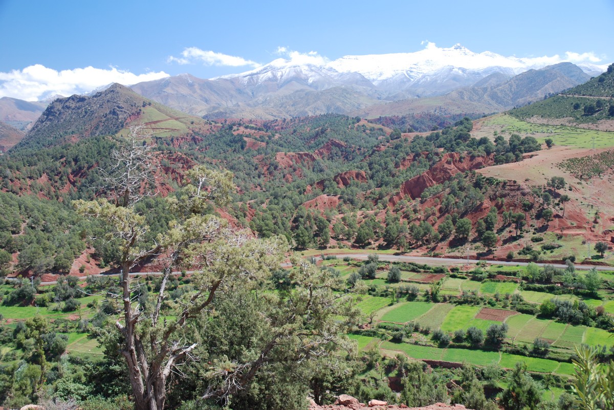 Atlas Valley trek has an amazing views of Moroccan countryside