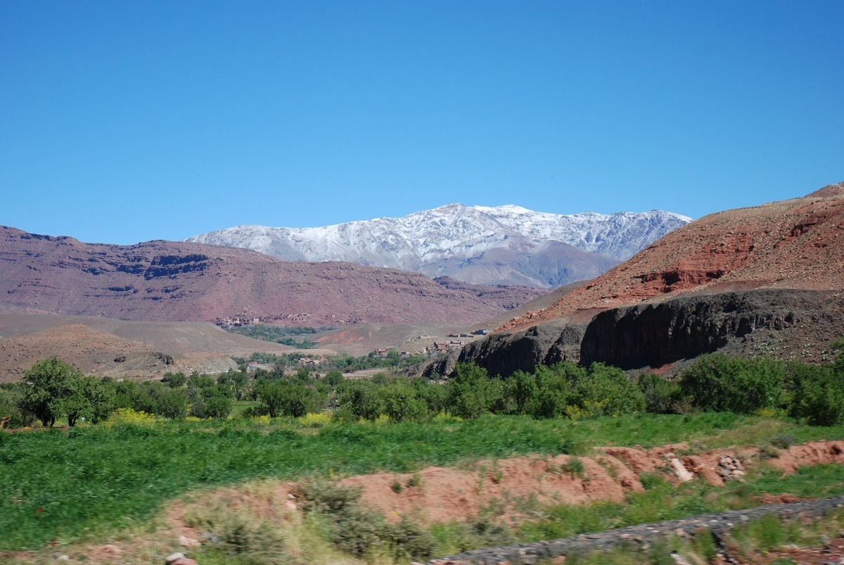Green fields in between Atlas Mountains on guided trekking tour to Atlas Valley from Marrakech