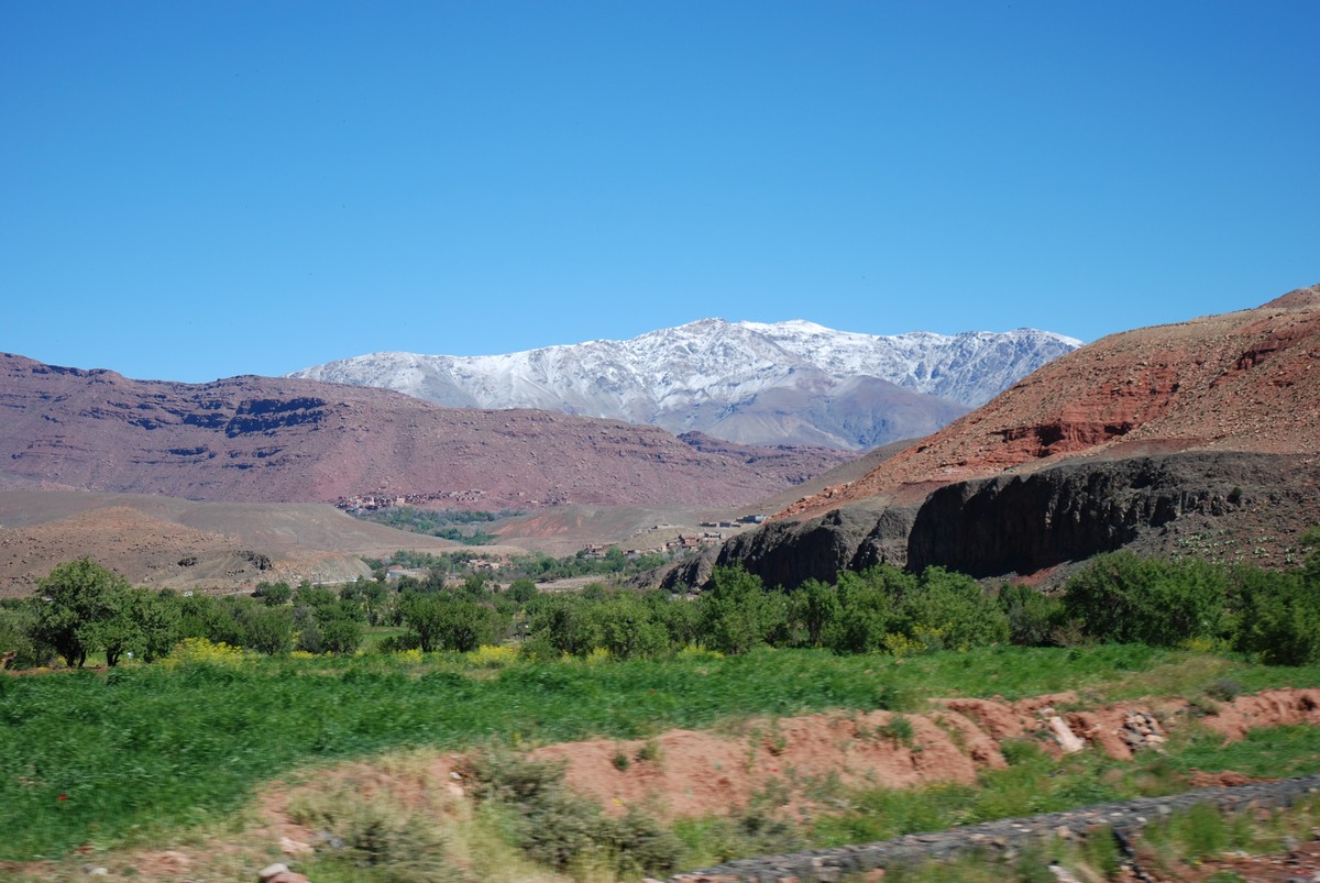 Green fields in between Atlas Mountains on guided trekking tour to Atlas Valley from Marrakech