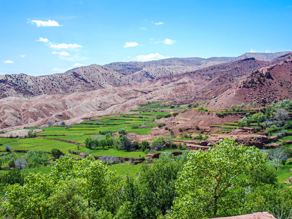 Beautiful green terraces in Atlas Mountains on Mt Toubkal Circuit Trek in Morocco