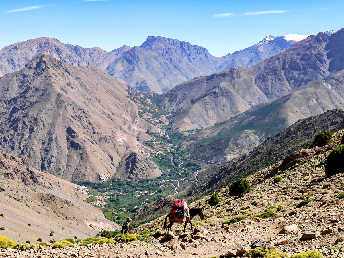 Donkey and Atlas Valley on Mt Toubkal Circuit Trek in Morocco