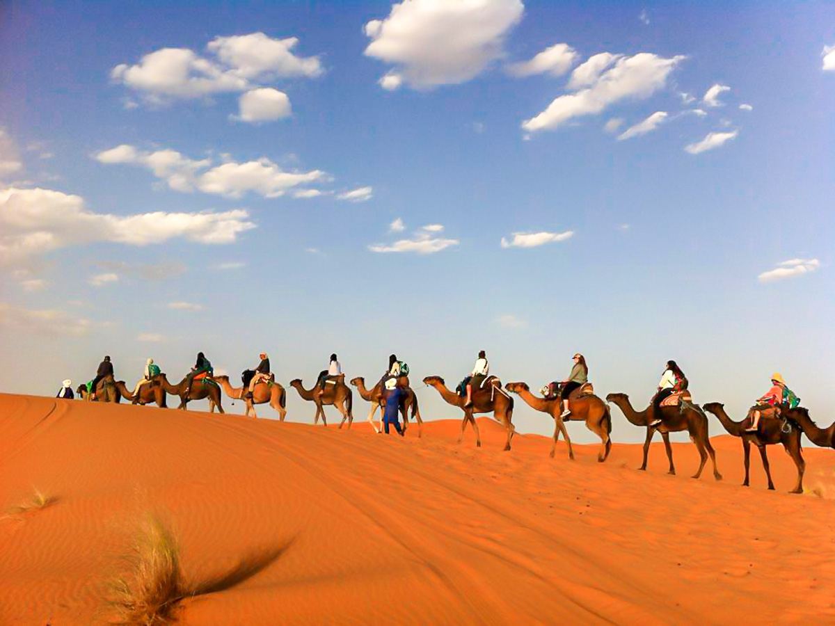Camels in Moroccan Desert on Merzouga Overland Tour in Morocco