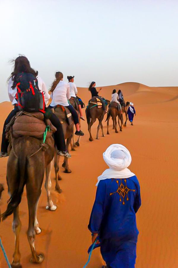 Guide of Merzouga Overland Tour in Morocco with the group riding camels