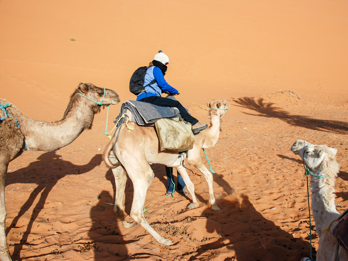 Riding camels on Merzouga Overland Tour in Morocco is a popular attraction