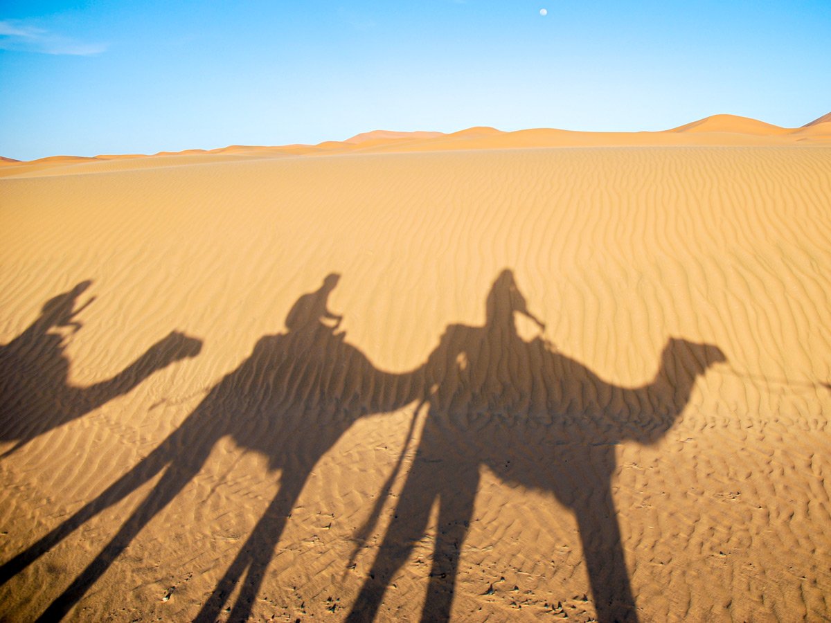 Expansive desert on Merzouga Overland Tour in Morocco