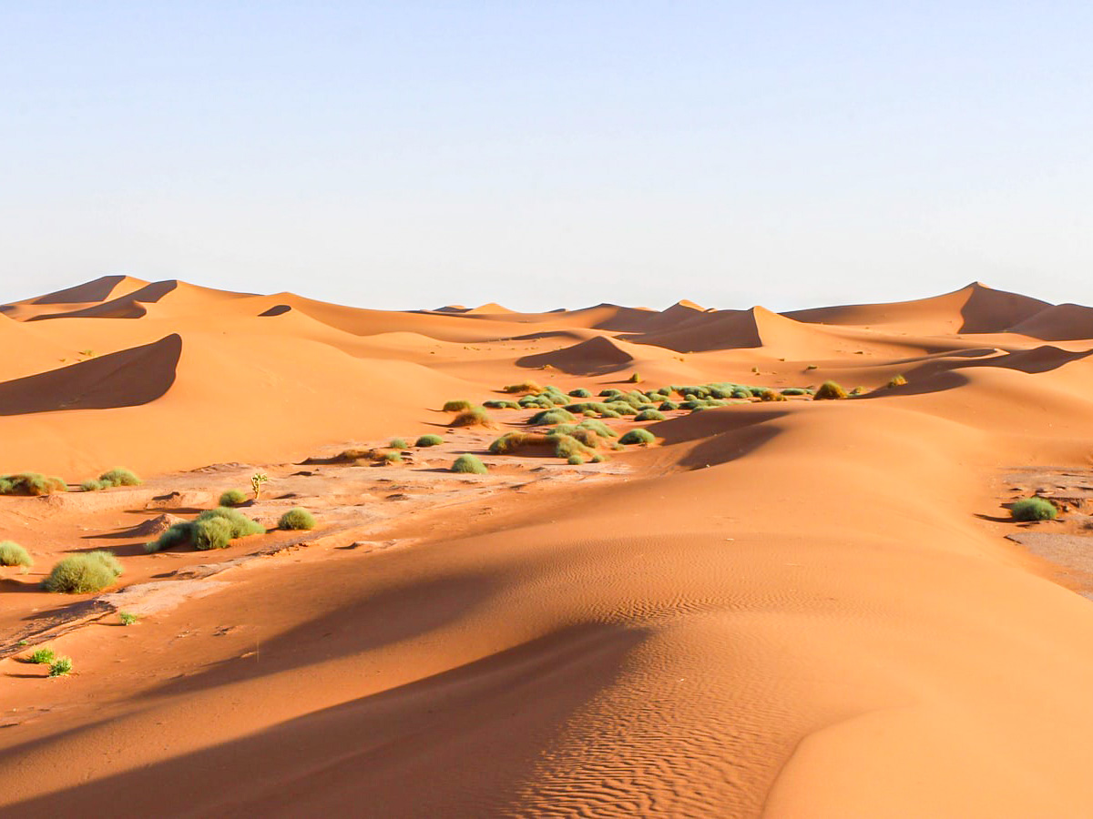 Taking a Merzouga Overland Tour is a wonderful way of exploring the Sahara Desert in Morocco