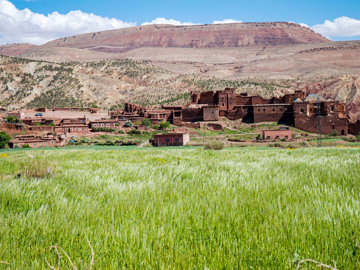 Green meadows along the trail of Merzouga Overland Tour from Marrakech