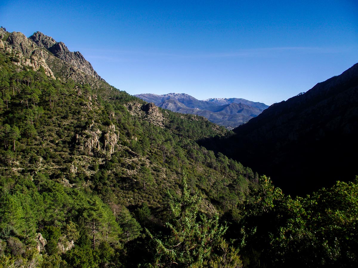 Corte and Calvi trek in Corsica shows the best of Corsican nature