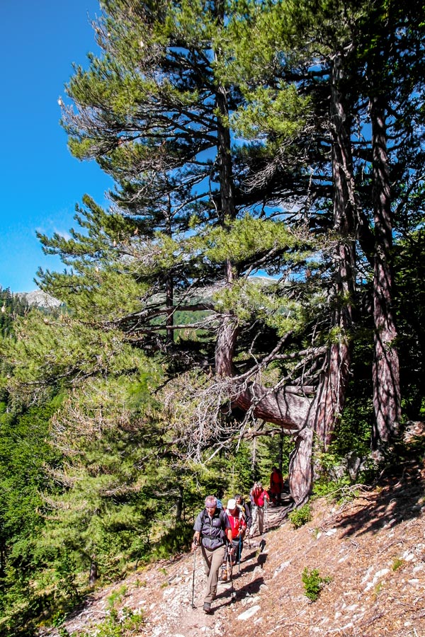 Group of hikers between Capanelle and Bocca di Verde on 3rd day of GR20 South Trek