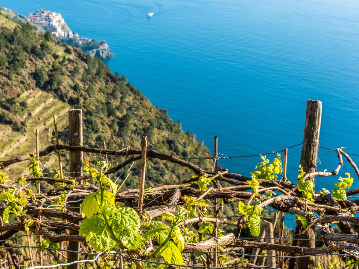 Self guided Genoa to Sestri Levante trek in Cinque Terre is an amazing trek