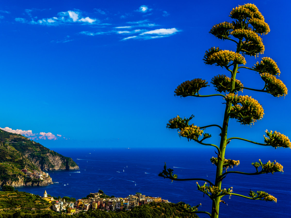 Blue sky above the Mediterranean Sea on Sestri Levante to Porto Venere trek in Cinque Terre