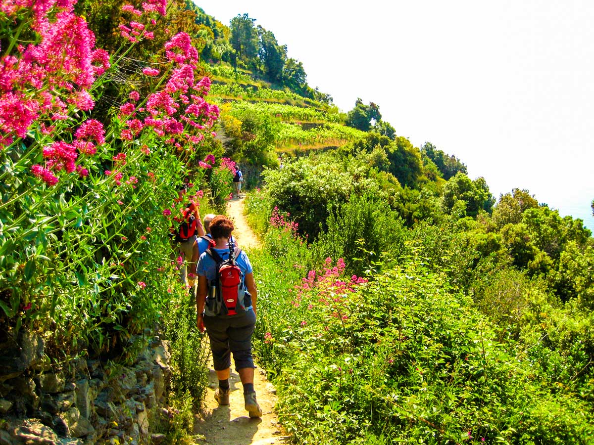 Trail of Sestri Levante to Porto Venere trek leads through the lush greenery