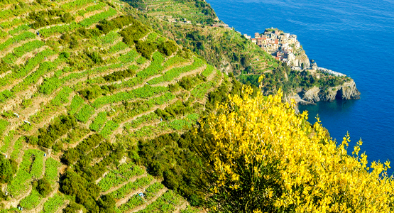 Cinque Terre Pilgrimage to Portovenere