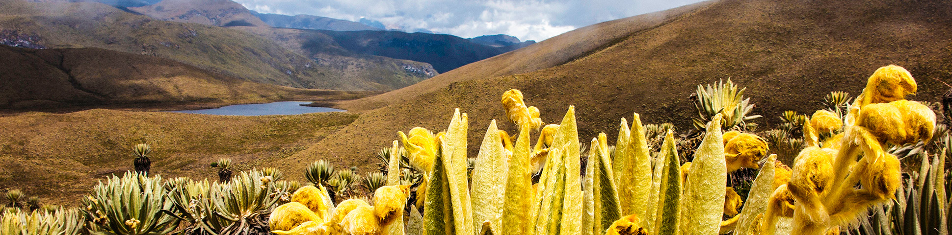 Los Nevados Hiking Tour
