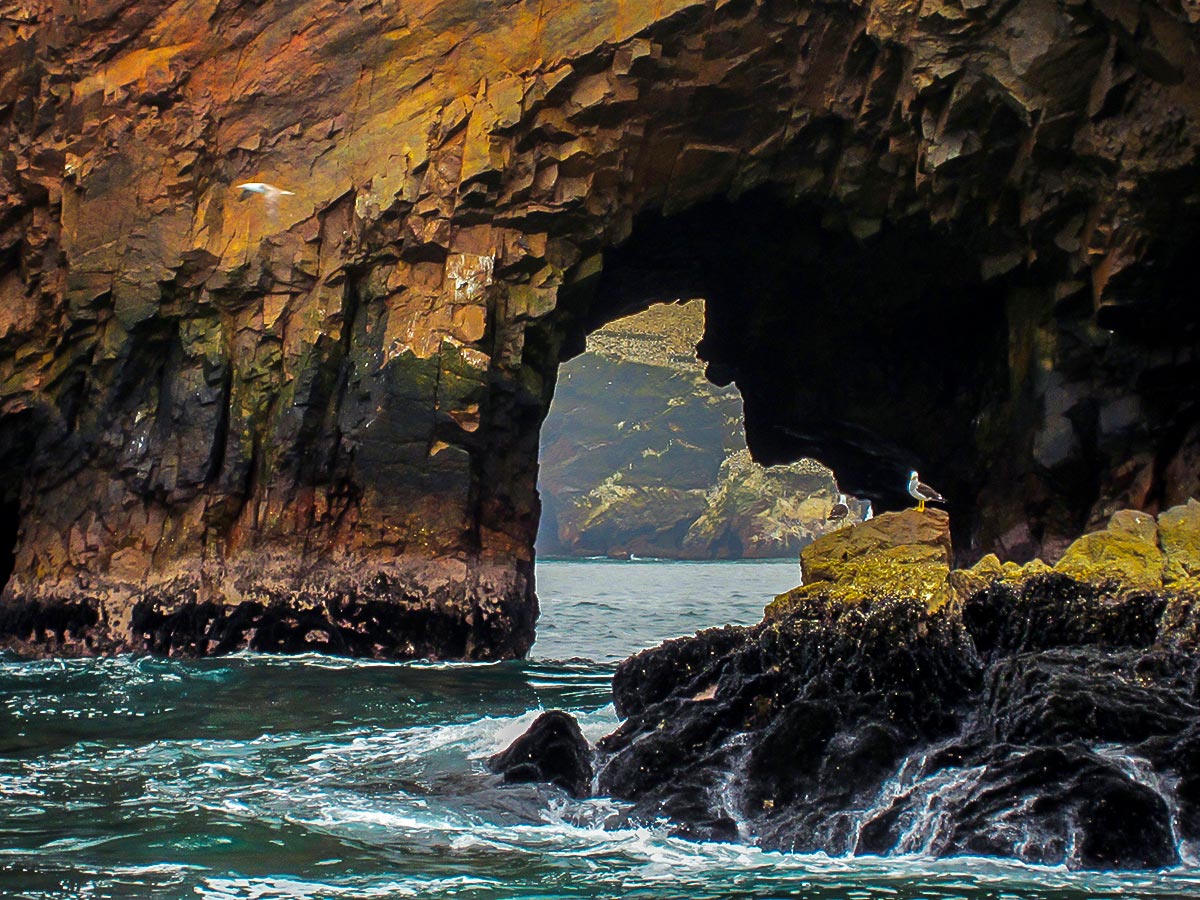 Peruvian shore seen on Peru Active Tour